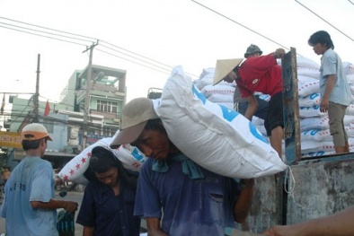 Phân bón 'dởm': Bộ Nông nghiệp, Công thương phải chịu trách nhiệm