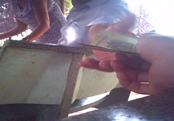 Kiểm lâm "ăn tiền" xưởng cưa