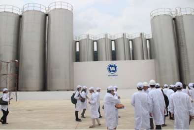 Sắp khánh thành siêu nhà máy sữa nước của Vinamilk