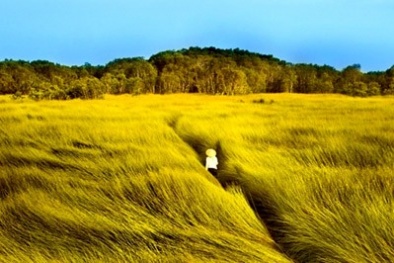 Tìm hàng Việt trên nước Việt