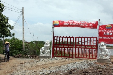 Cho người nước ngoài thuê đất trái quy định