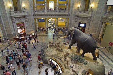 Hà Nội cấp đất xây Bảo tàng Thiên nhiên VN