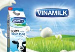 Vinamilk giữ vị trí độc tôn về sản phẩm thuần Việt