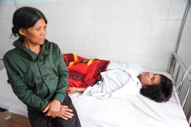 Chết vì nhậu thịt cóc