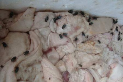 Thit thối hoành hành cả nước