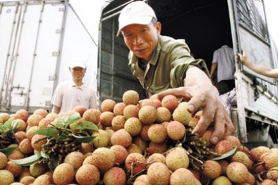 Nông sản, thực phẩm giữ tươi ngon 10 năm