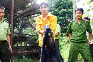 Quan chức tỉnh Bình Dương nuôi thú cấm