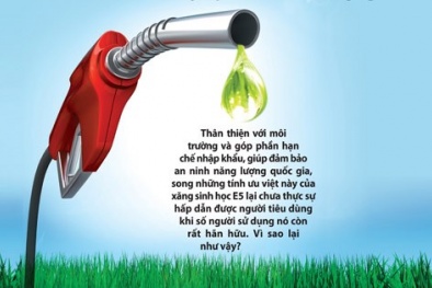 Việt Nam từng chế tạo xăng rẻ hơn thị trường