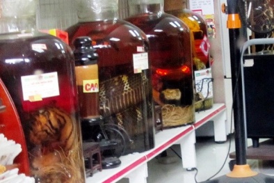 Công ty Chu Việt bị cảnh sát điều tra