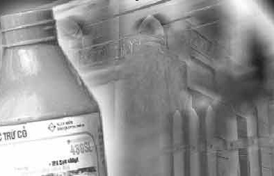 Bi kịch thuốc diệt cỏ