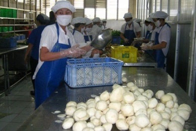 Luật thách đố người tiêu dùng