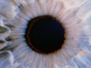 Bước tiến mới trong việc điều trị mù lòa