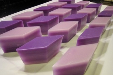 Thạch rau câu không có lỗi