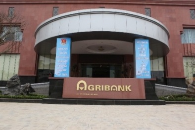Agribank: "Vết nhơ" cán bộ lãnh đạo