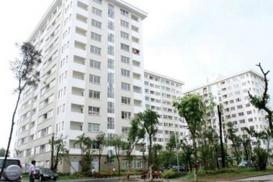 Người mua lùng sục căn hộ 500 triệu đồng