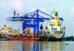 Đầu tháng 9 nội tạng trắng được nhập khẩu về nước