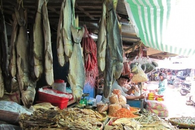 Khô cá tẩm trichlorfon... ruồi còn phải sợ