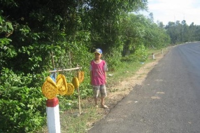 Kĩ nghệ làm giả mật ong ruồi