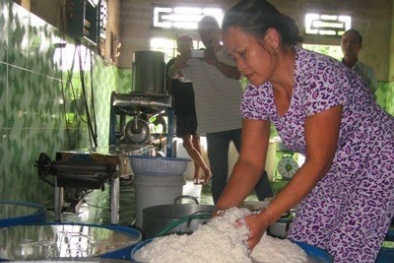 Người dân điêu đứng vì bún chứa chất cấm