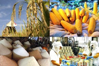 Nông nghiệp sẽ dùng dịch vụ truy xuất nguồn gốc điện tử