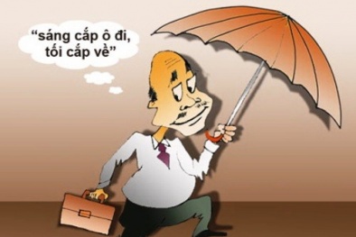 Lừa chạy công chức gần nửa tỷ đồng