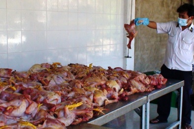Tiêu hủy lượng lớn thực phẩm kém chất lượng