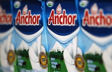 Dính bê bối, sữa của New Zealand bị cấm xuất khẩu