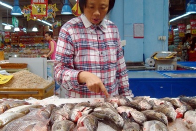 Chất cấm trong hàng đông lạnh Trung Quốc