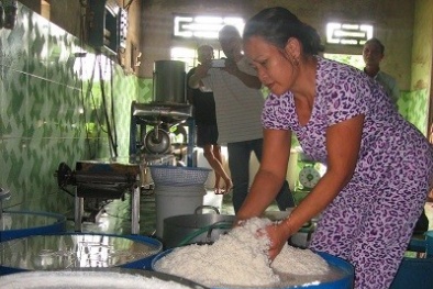 Huế: Chưa phát hiện bún chứa chất tẩy trắng