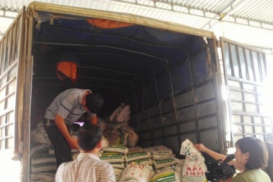 Thu giữ gần 6 tấn phân NPK nghi làm giả bán kiếm lời