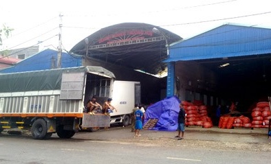 Tận mắt xem hô biến nông sản Trung Quốc thành hàng Việt