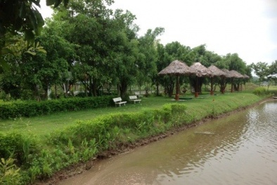 Tại đơn vị Tập đoàn FLC: “Cái sảy nảy cái ung”