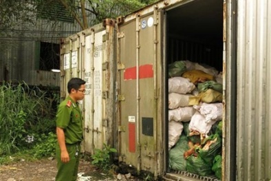 Hé lộ đường dây chuyên kinh doanh chân thịt thối