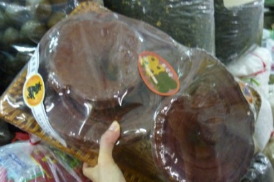 Nhập nhèm nấm linh chi