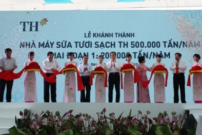 “Sữa sạch” khác gì “sữa tươi”?