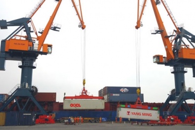 Hải quan không tin ngân hàng, giấy bảo lãnh vô dụng