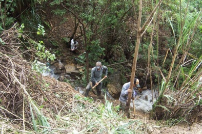 Loạn 'thần dược'