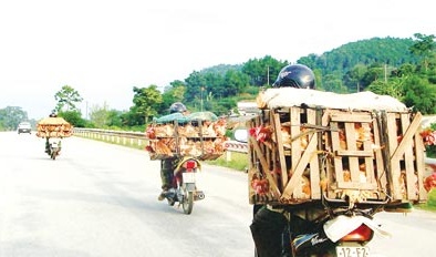Thực phẩm bẩn tuồn về từ vùng biên giới