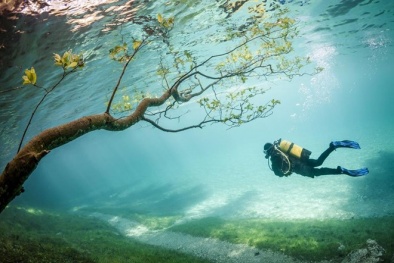 Thiên đường dưới nước đẹp như tranh