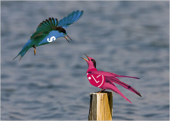 Cuộc chiến Hàn trên đất Việt