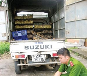 An toàn thực phẩm: Buôn gian, quản lỏng