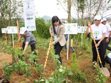 Trồng cây làm đẹp môi trường ở Lâm Đồng