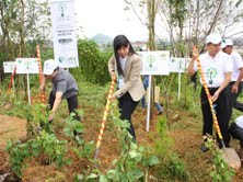 Trồng cây làm đẹp môi trường ở Lâm Đồng