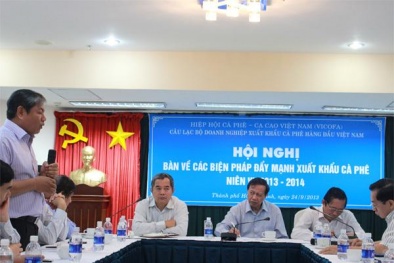 Nguy cơ doanh nghiệp ngừng xuất khẩu vì vướng thủ tục hoàn thuế