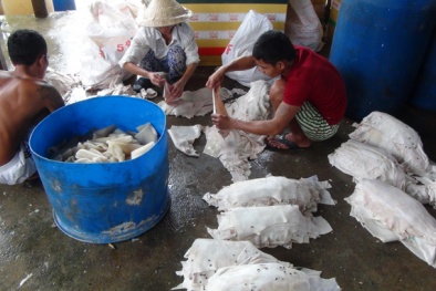 Cận cảnh da heo bám đầy ruồi nhặng suýt lên bàn ăn