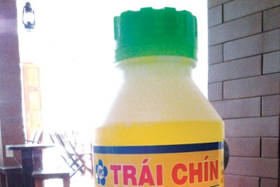 Chưa cấp phép lưu hành thuốc ủ chín trái cây