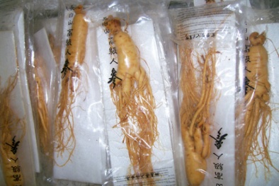 Nhập lậu sâm Hàn Quốc