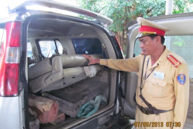 Doanh nghiệp giả chữ kí kiểm lâm buôn gỗ lậu