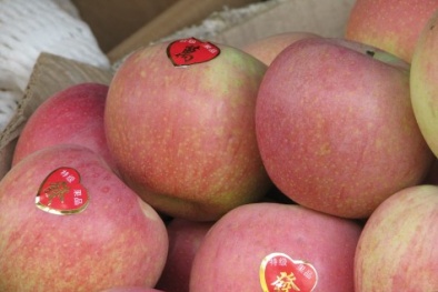 Bán cả xe tải hoa quả Trung Quốc giá 500 nghìn đồng