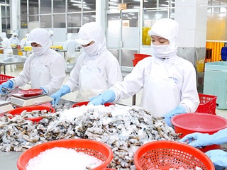 Công ty CP Thủy sản số 1 có TGĐ mới